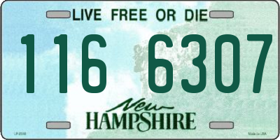 NH license plate 1166307