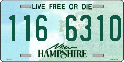 NH license plate 1166310
