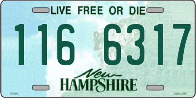 NH license plate 1166317