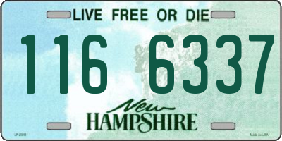 NH license plate 1166337