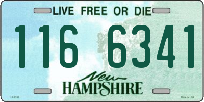 NH license plate 1166341
