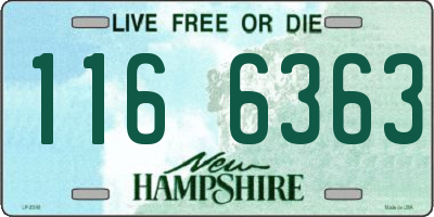 NH license plate 1166363