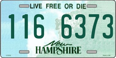NH license plate 1166373