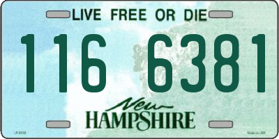 NH license plate 1166381