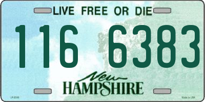 NH license plate 1166383