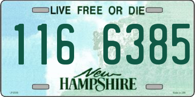 NH license plate 1166385