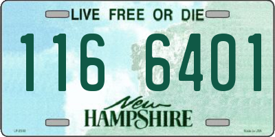 NH license plate 1166401