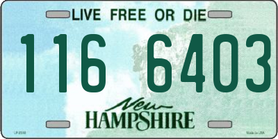NH license plate 1166403