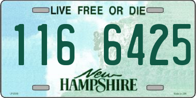 NH license plate 1166425