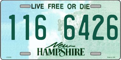 NH license plate 1166426