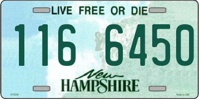 NH license plate 1166450
