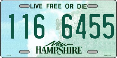 NH license plate 1166455
