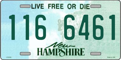 NH license plate 1166461