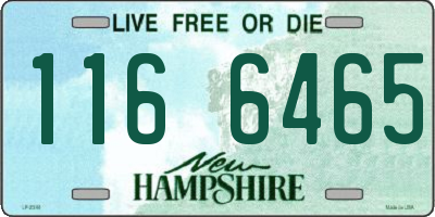 NH license plate 1166465