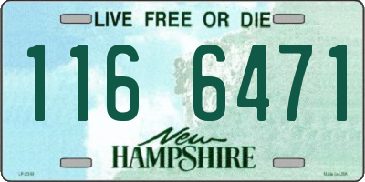 NH license plate 1166471