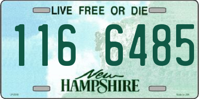 NH license plate 1166485