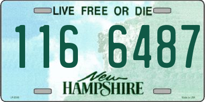 NH license plate 1166487