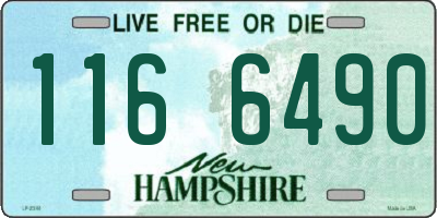 NH license plate 1166490