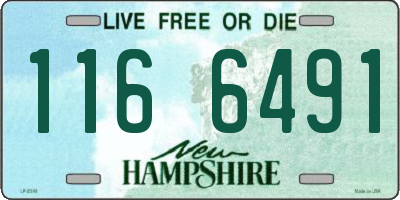 NH license plate 1166491
