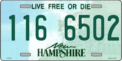 NH license plate 1166502