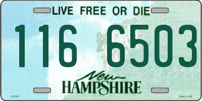 NH license plate 1166503