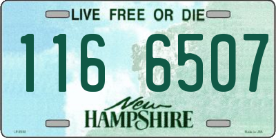 NH license plate 1166507
