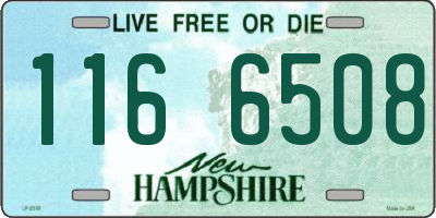 NH license plate 1166508