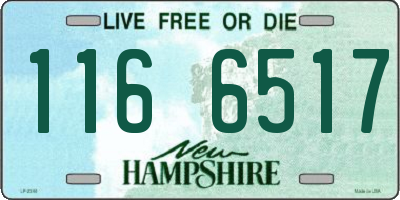 NH license plate 1166517