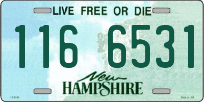 NH license plate 1166531