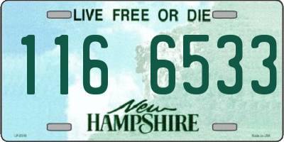 NH license plate 1166533