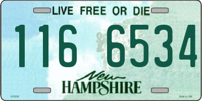 NH license plate 1166534