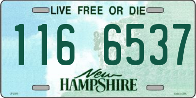 NH license plate 1166537