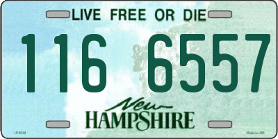 NH license plate 1166557