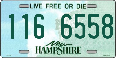 NH license plate 1166558