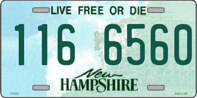NH license plate 1166560
