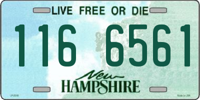 NH license plate 1166561