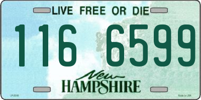NH license plate 1166599