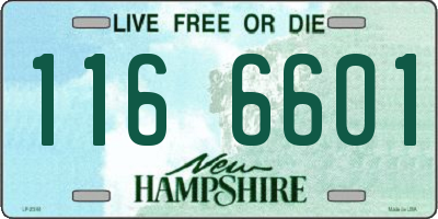 NH license plate 1166601