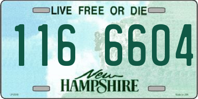 NH license plate 1166604