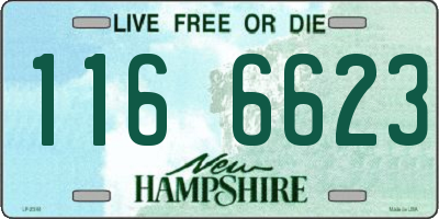 NH license plate 1166623