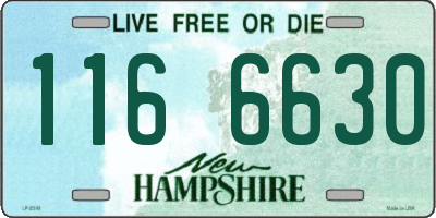 NH license plate 1166630