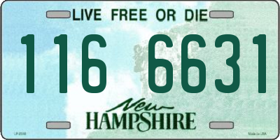 NH license plate 1166631