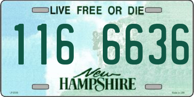 NH license plate 1166636
