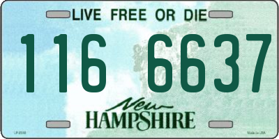 NH license plate 1166637