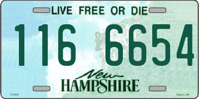 NH license plate 1166654