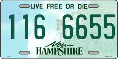 NH license plate 1166655