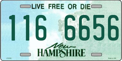 NH license plate 1166656