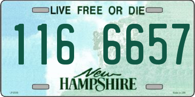 NH license plate 1166657