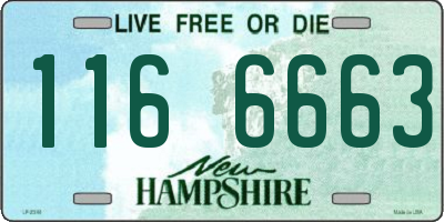 NH license plate 1166663