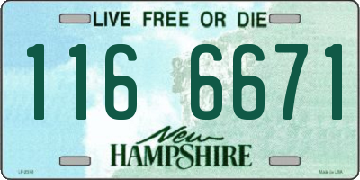 NH license plate 1166671